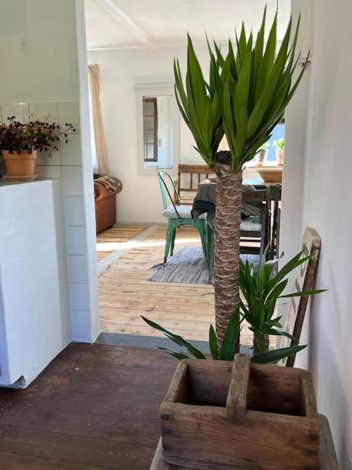 The Old Soap House - Stylish And Close To Beach Vang  Buitenkant foto